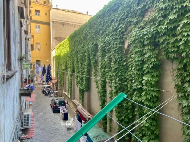 Centro Storico S Chiara House Apartment Naples Exterior photo